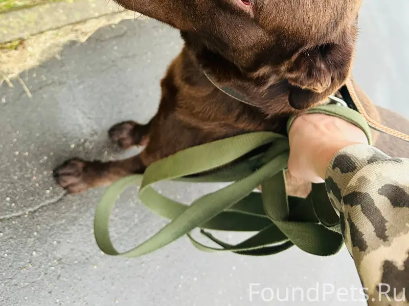 23.11.2025 примерно в 10...