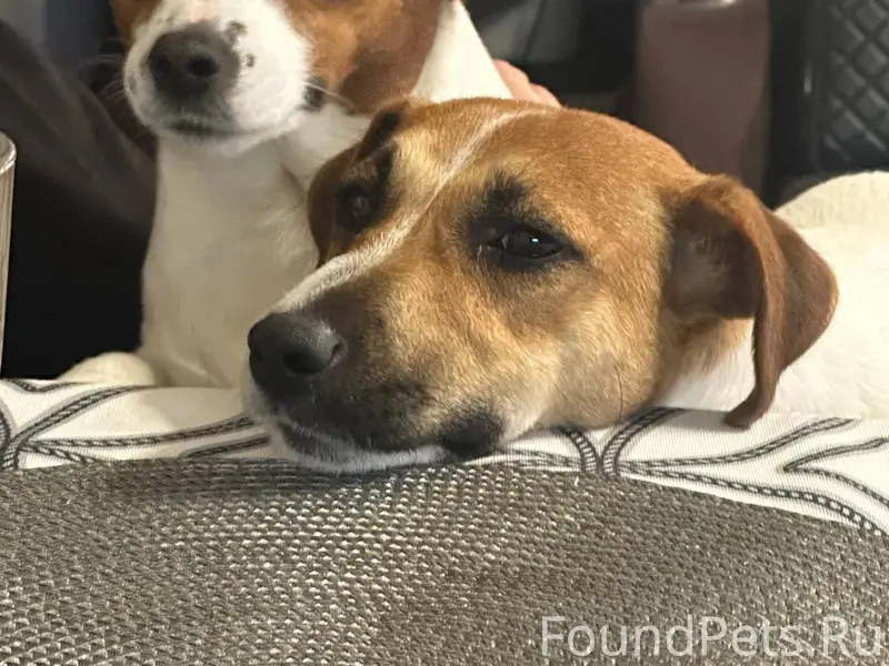 Моя самая большая 😭 боль. Мы.....