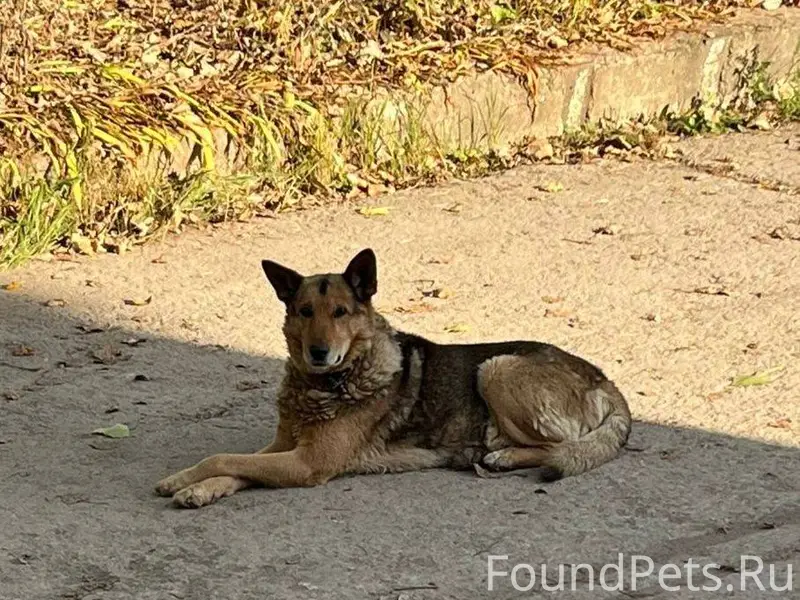 Ржев!! На одной из баз на...