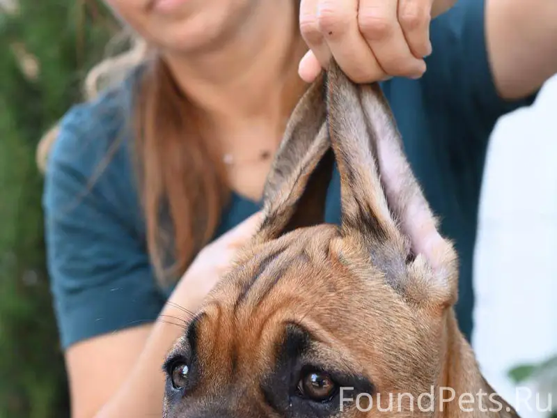 50 000₽ НАШЕДШЕМУ! Потерялся щ...