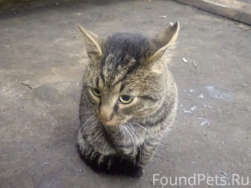 В районе гаражей (ивачево 2, м...