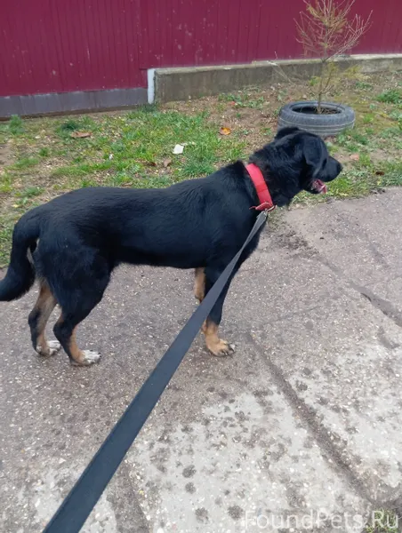 Здравствуйте, опубликуйте, пож...