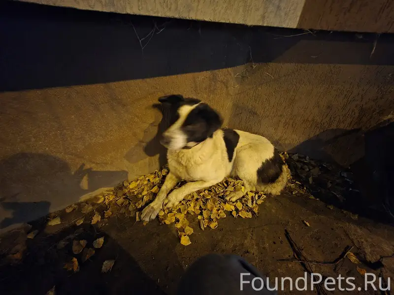 Всем здравствуйте. Нашлась соб...