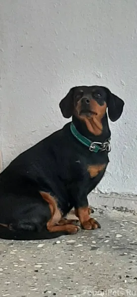 Друзья❗️Прошу не проходить мим...