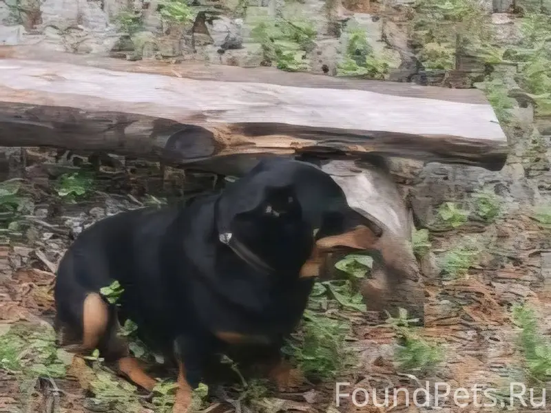 Сегодня 24.11.2025 на Красном....