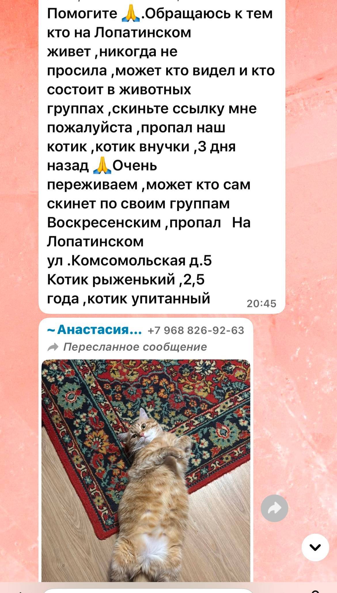 МО Воскресенск, Лопатинский. П...