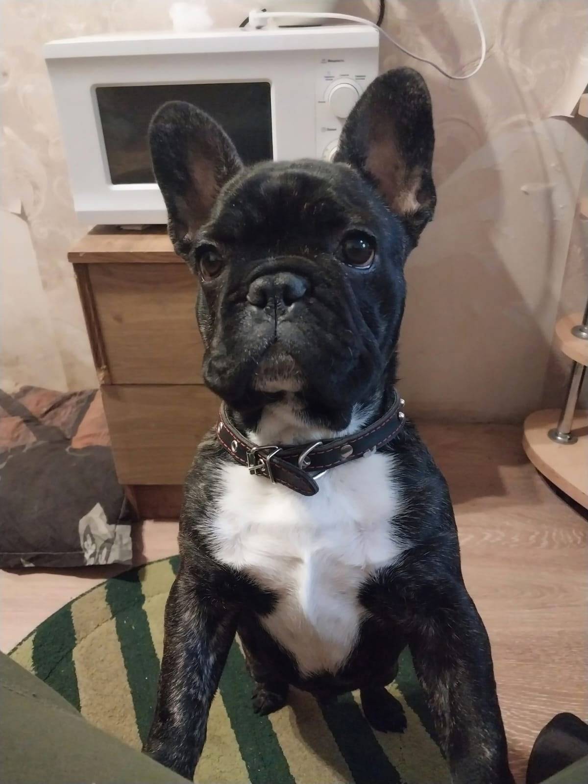 Добрый вечер . Сегодня 24.11. ...