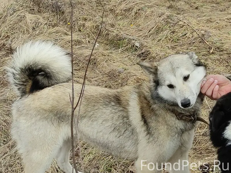 Здравствуйте! Сегодня в Березн...