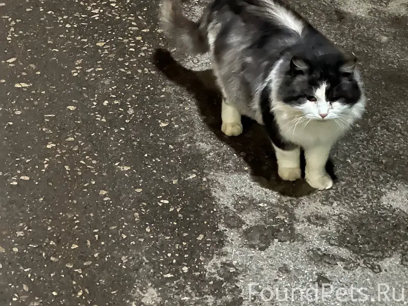 "Бюро находок" Напротив автост...