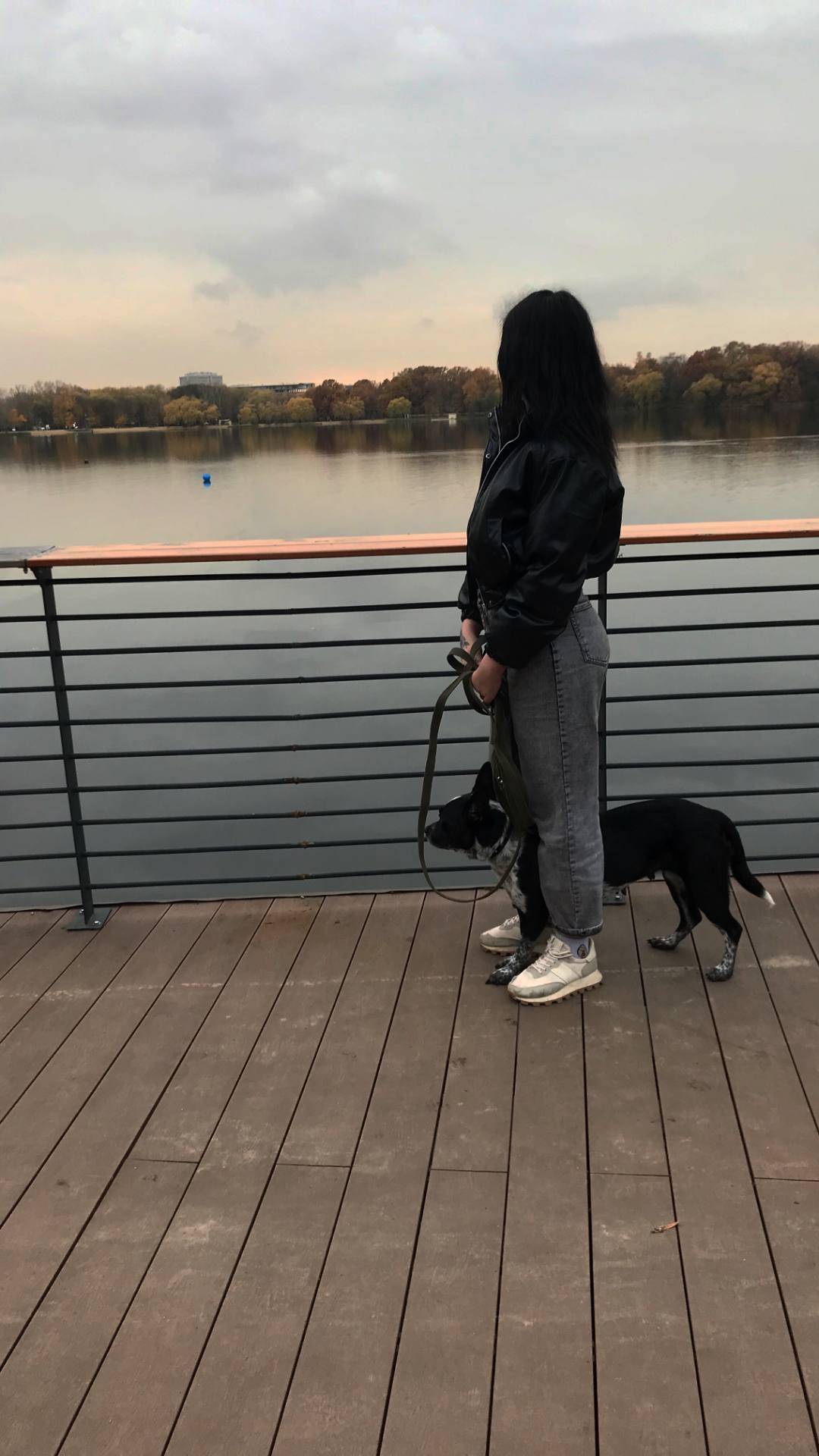 В эту субботу потеряла собака ...