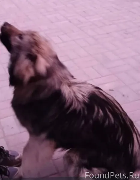 Друзья, прошу максимальный реп...