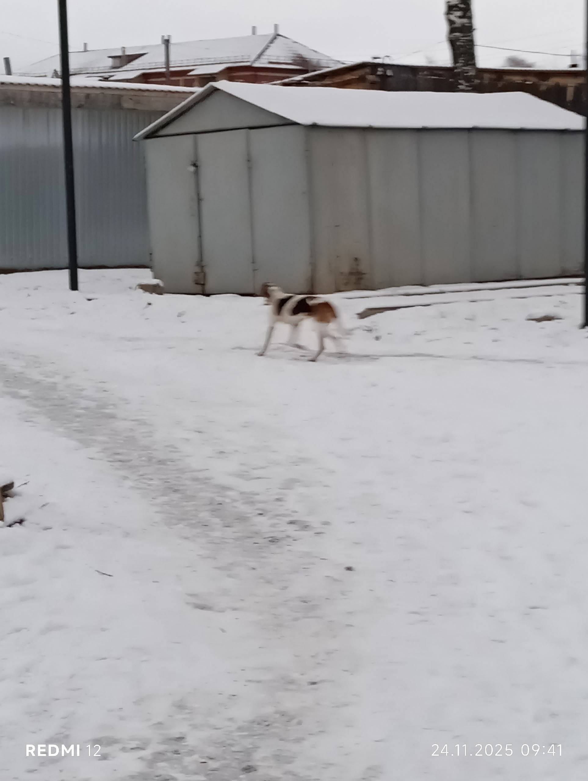 Несколько дней в центре с. Орд...