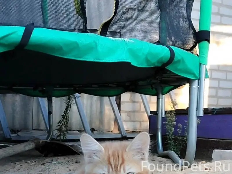 Всем добрый вечер! Буду призна...