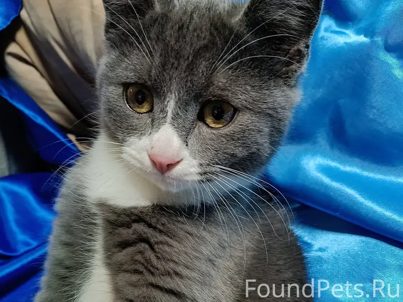 На проспекте Строителей найден...