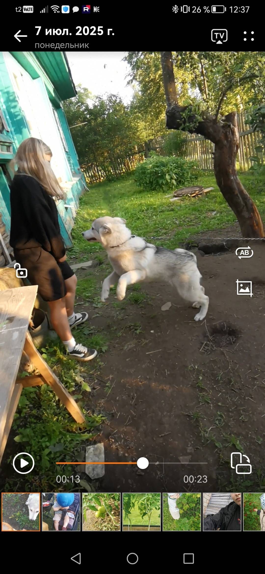 Всем здравствуйте Убежала соба...