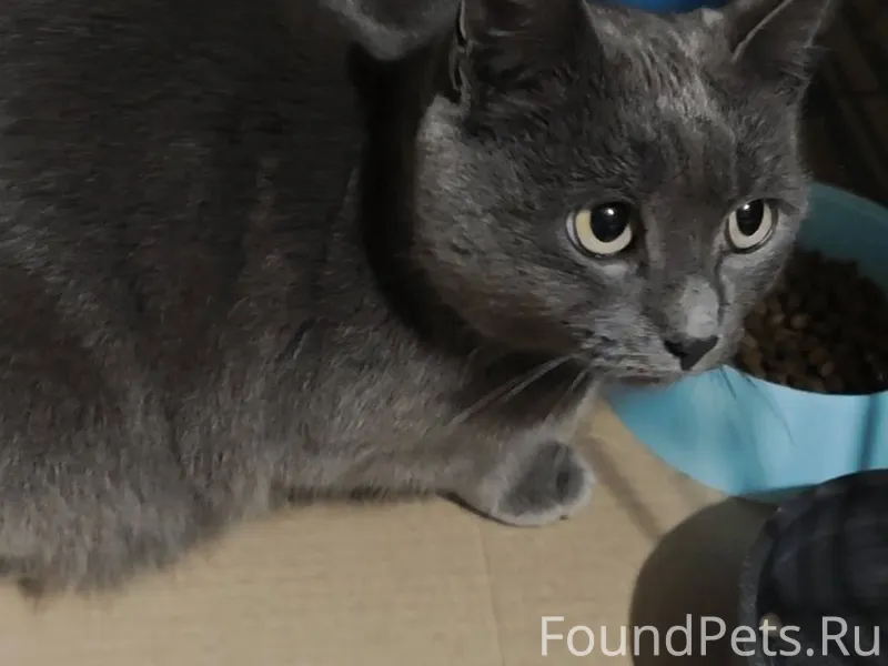 Ялта, 10-й мкрн, Тимирязева! К...