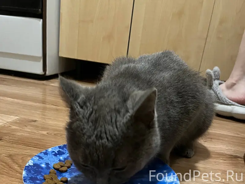 Срочно ‼️ Казань Пожалуйста, п...