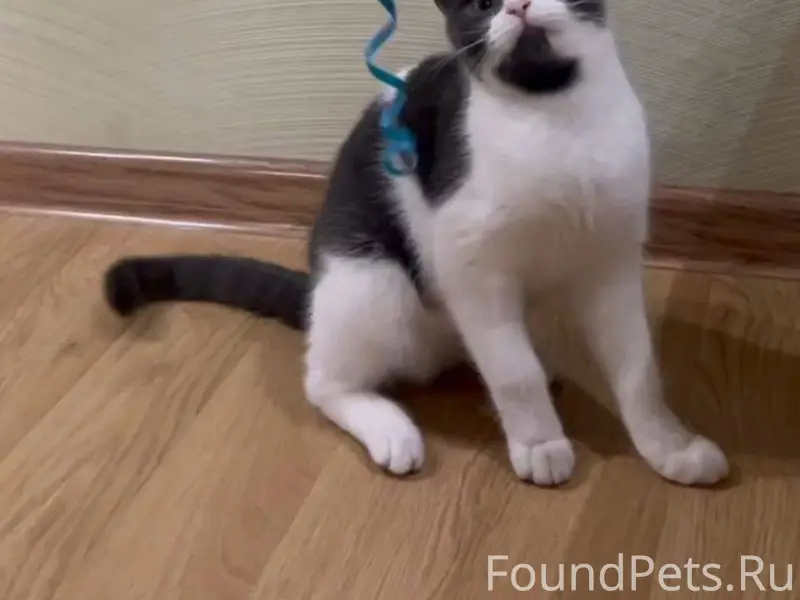 Несколько дней назад найдена к...