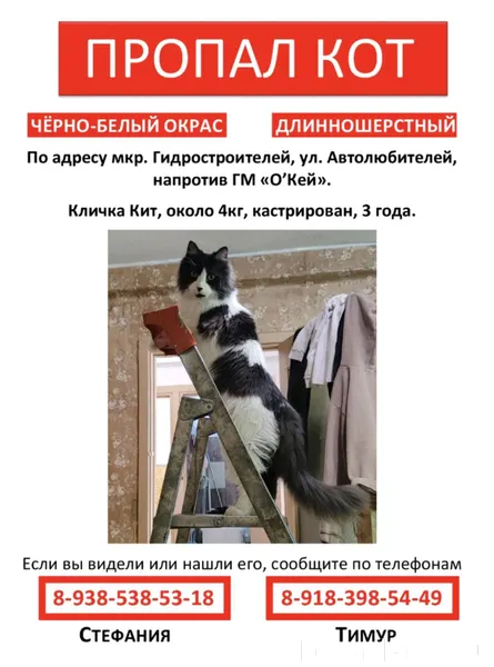 Дорогие друзья, у нас пропал к...