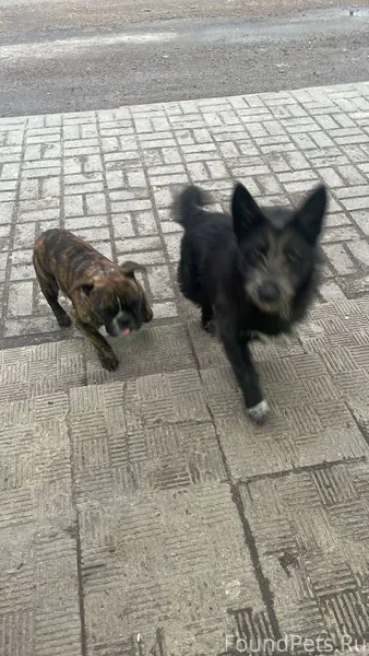 Кто потерял или выкинул друзей...