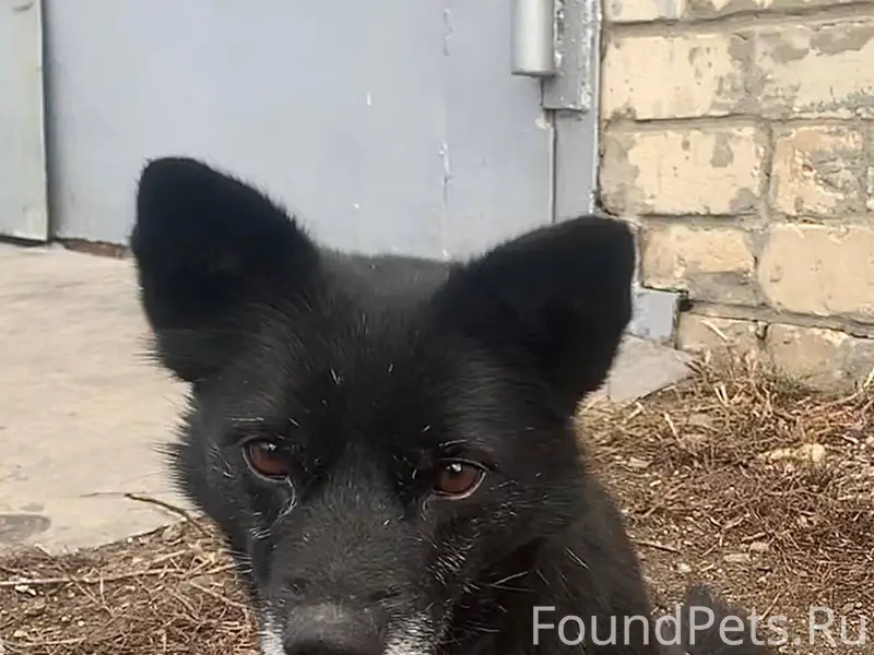 ‼️Новоульяновск, Ульяновск‼️ О...