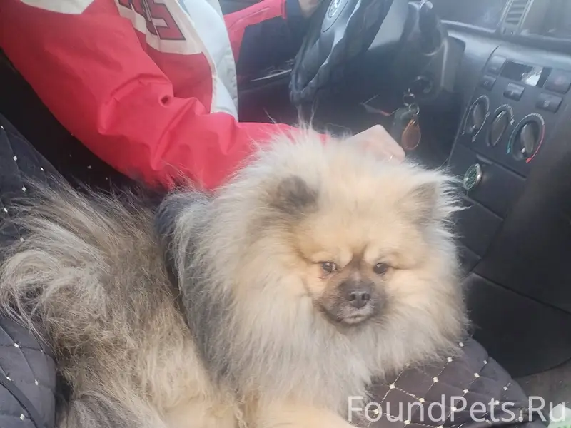 Опубликуйте пожалуйста 🙏 Найде...