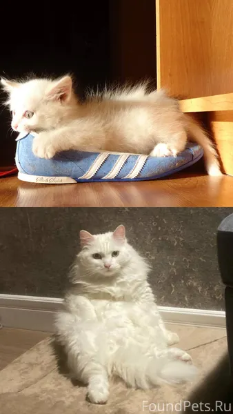 Было-Стало Версия «с налётом д...