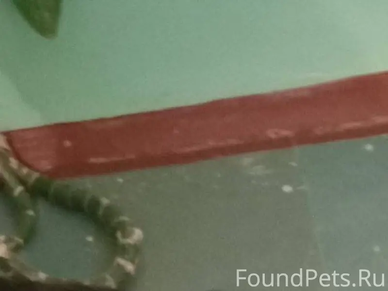 🆘🆘🆘Боровск🆘🆘🆘 ул. Свободы, д. ...