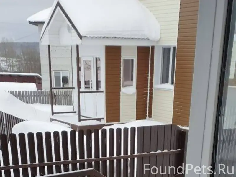 25.11.2025 на охоте в...