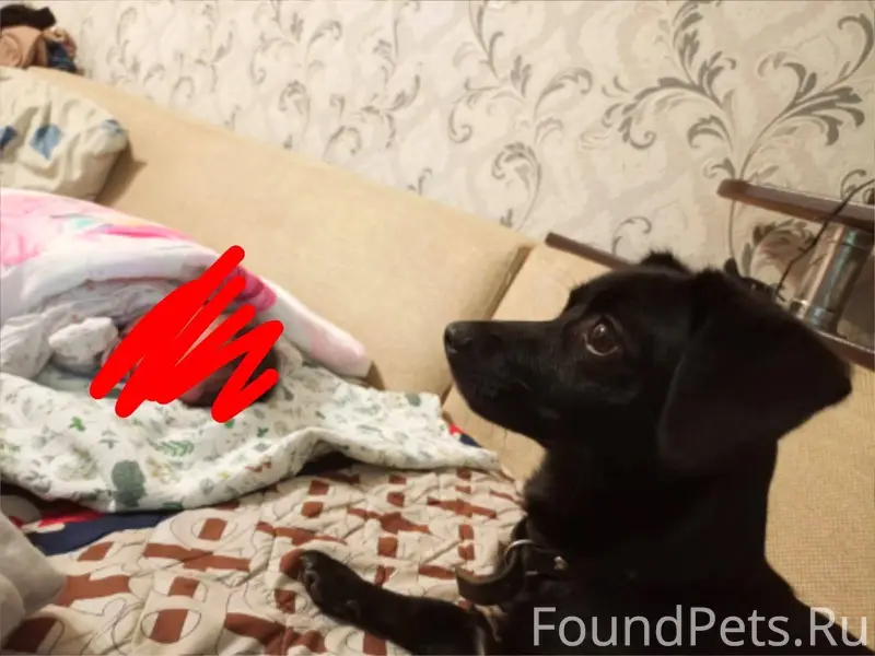 Добрый вечер, подскажите пожал...