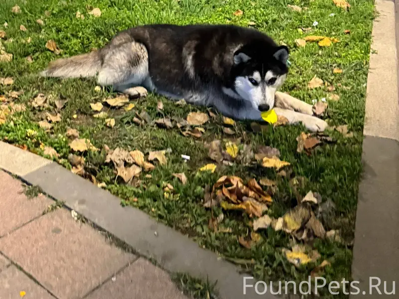 В районе Центрального рынка пе...