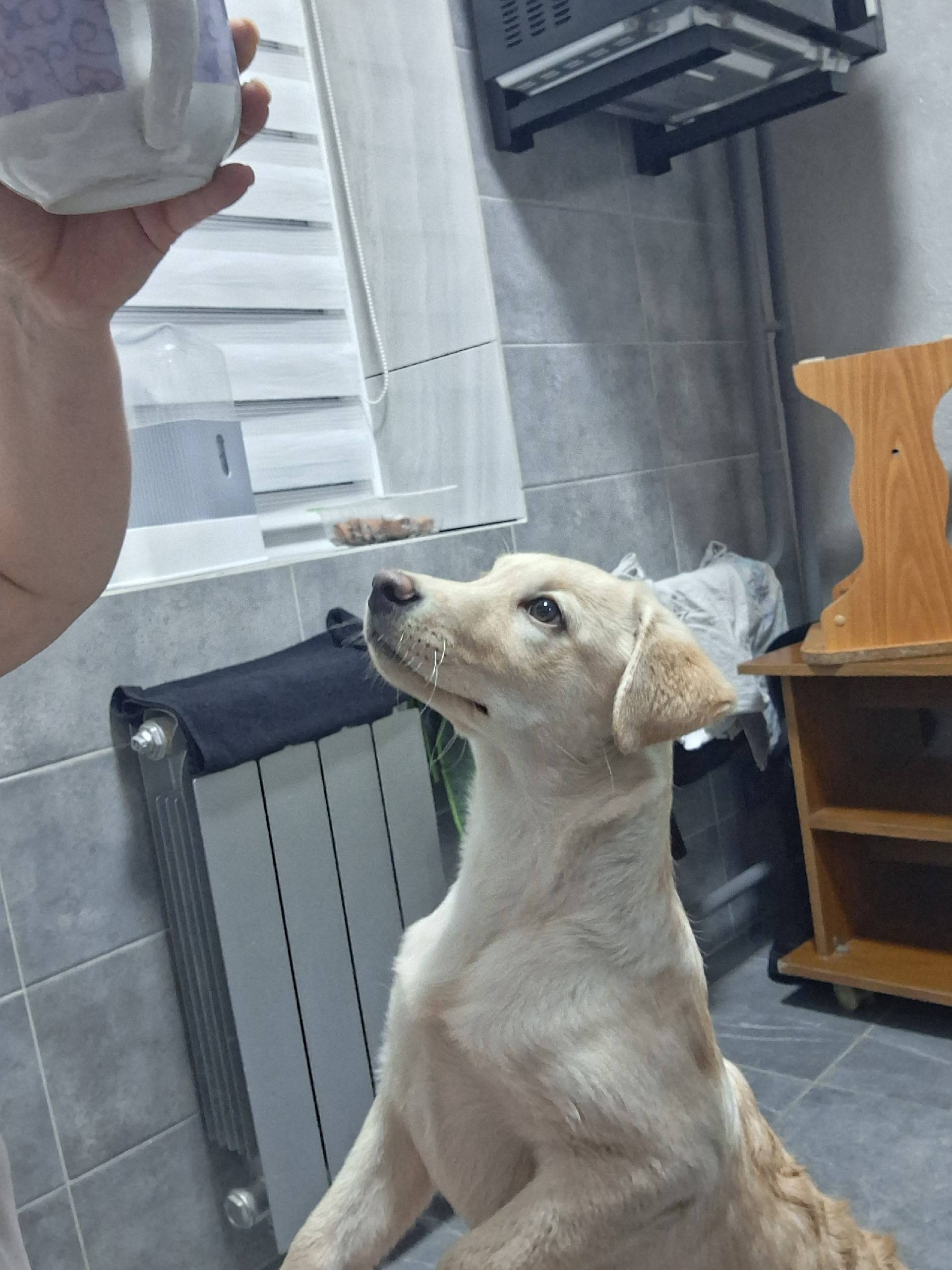 Вот такая замечательная малышк...