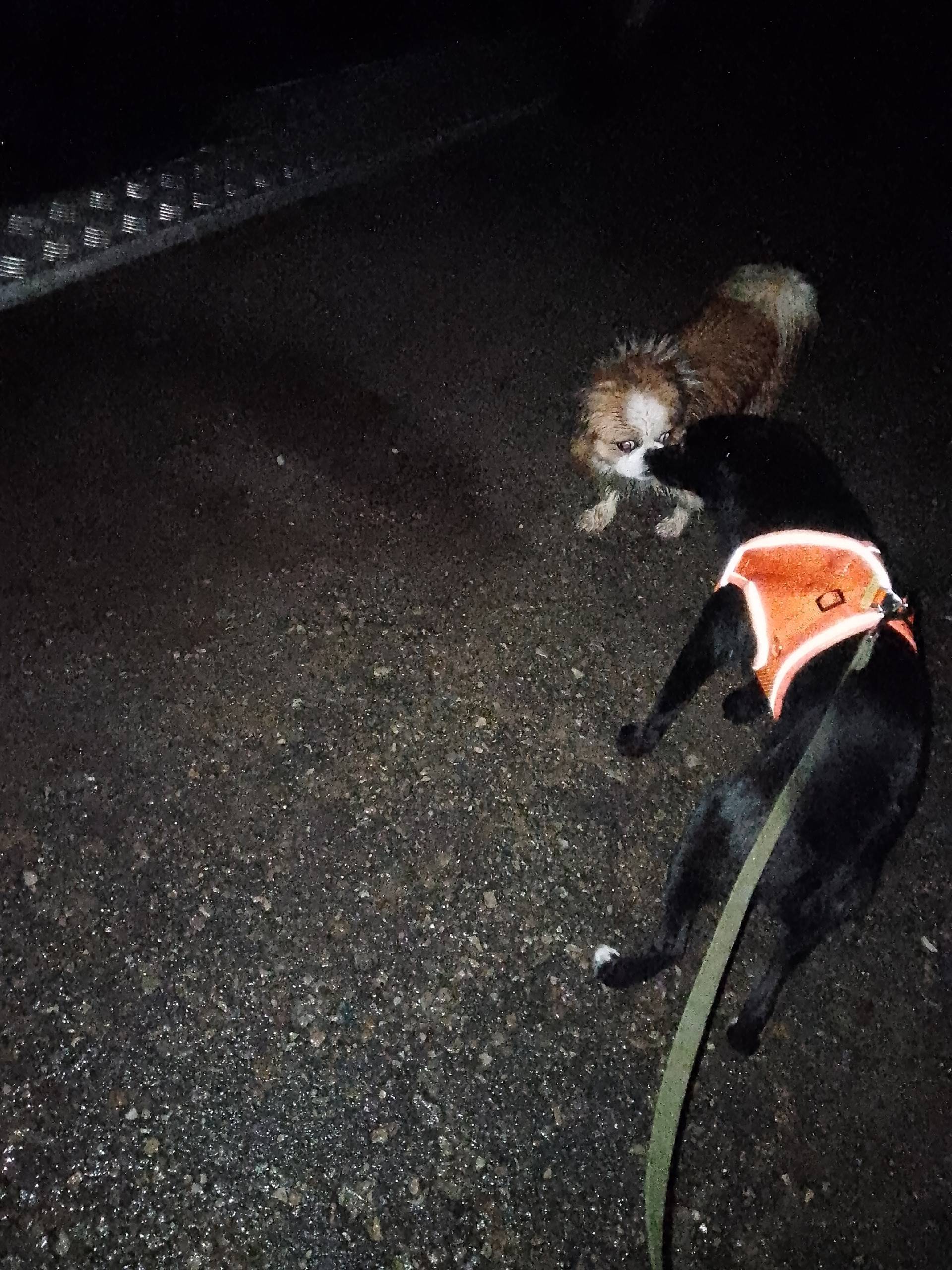 Всем добро времени суток! Чей ...