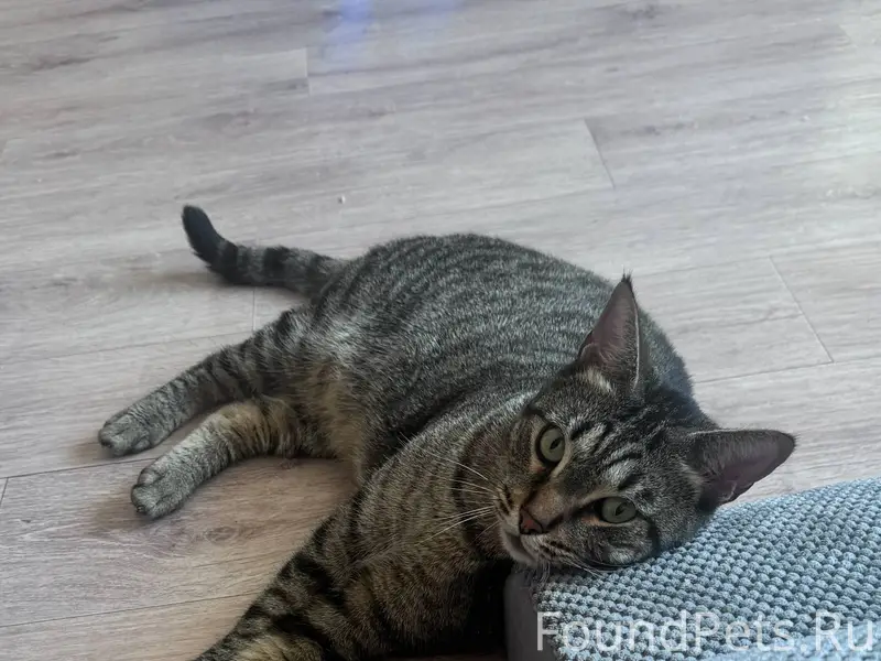 !!! Прошу помогите найти !!! П...