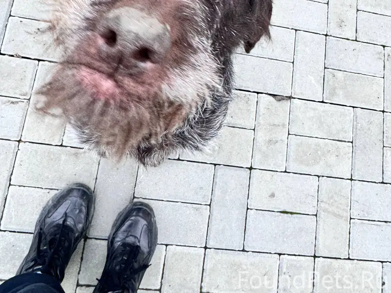 Здравствуйте. В районе микрора...