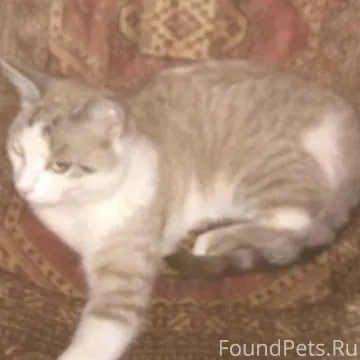 В Георгиевске, центр города (у...