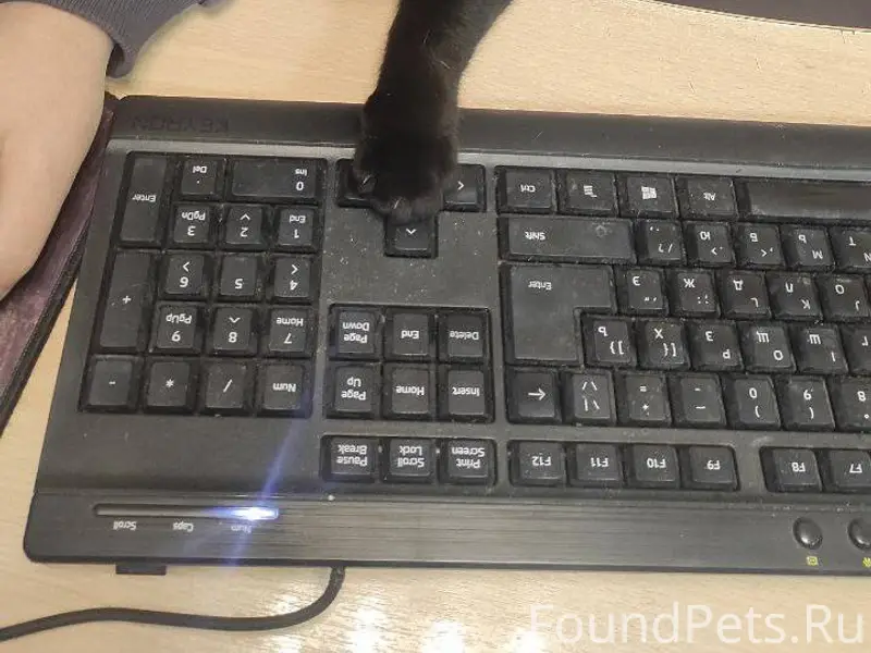 🌟Дзержинск, район Сеймы, Волод...