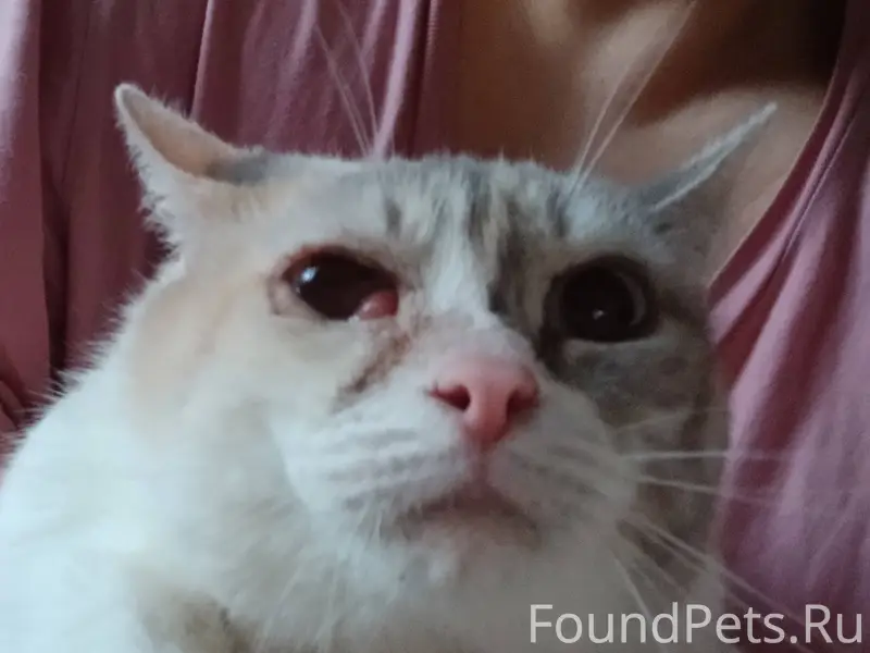 27.12. под балконом дома по...