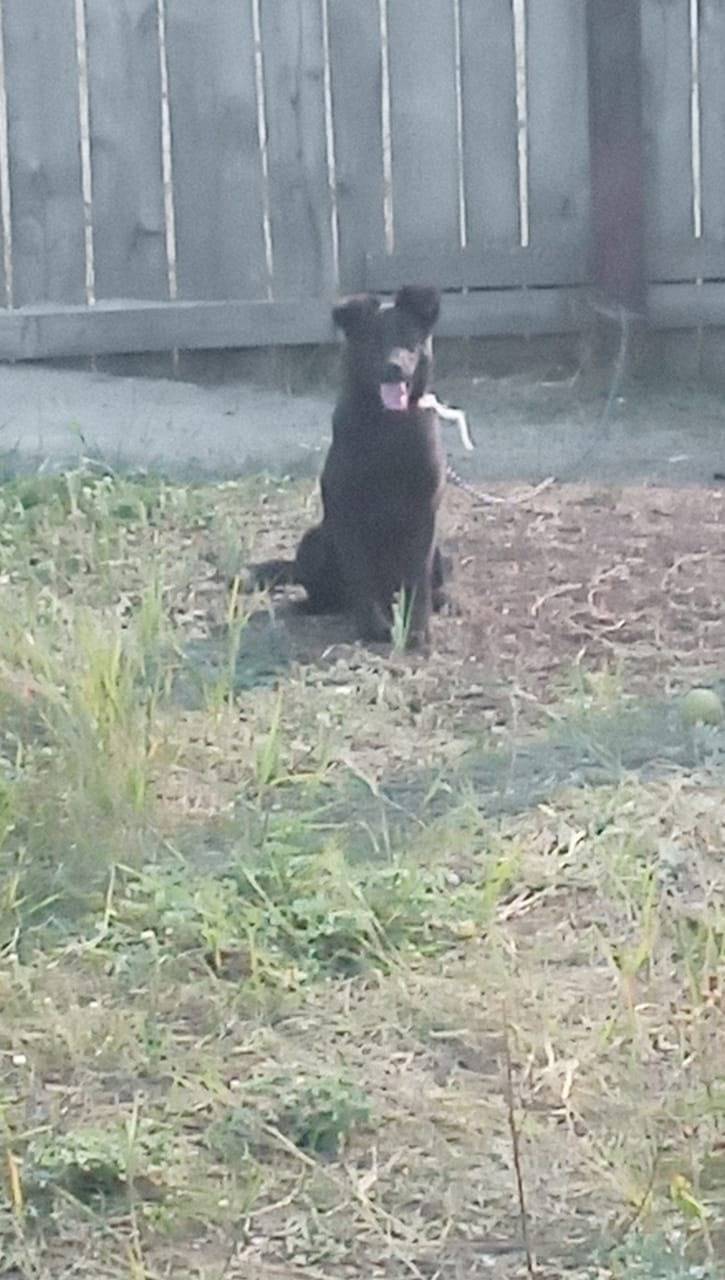 Добрый день всем жителям во вт...