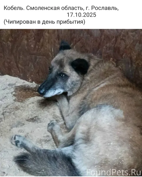 Г. Рославль (Но может быть где...