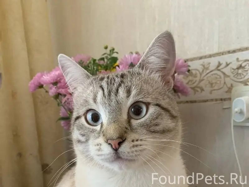 Здравствуйте! В субботу днём в...