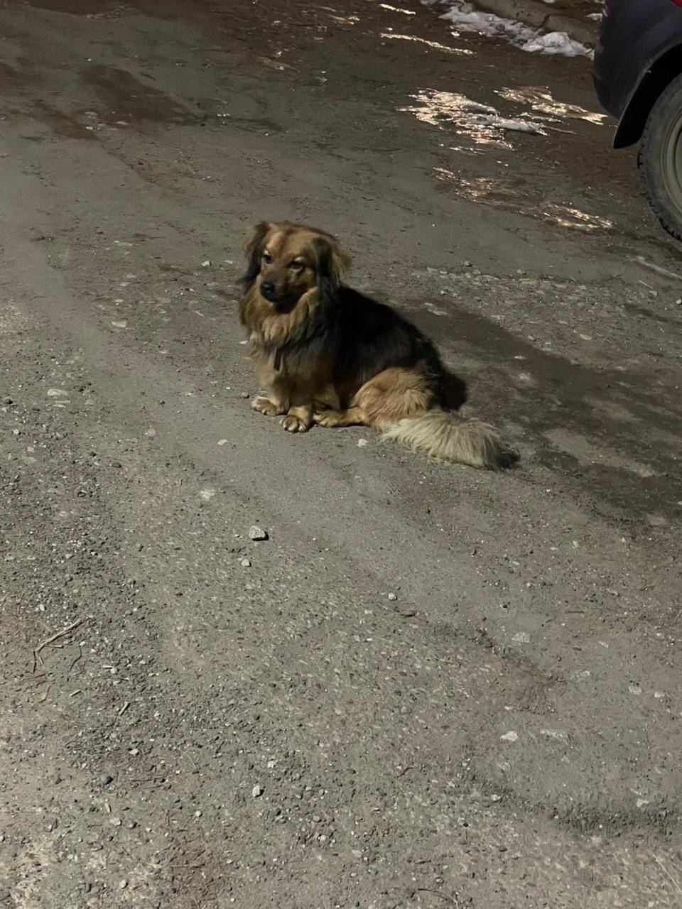 Здравствуйте. Ранее искали ста...