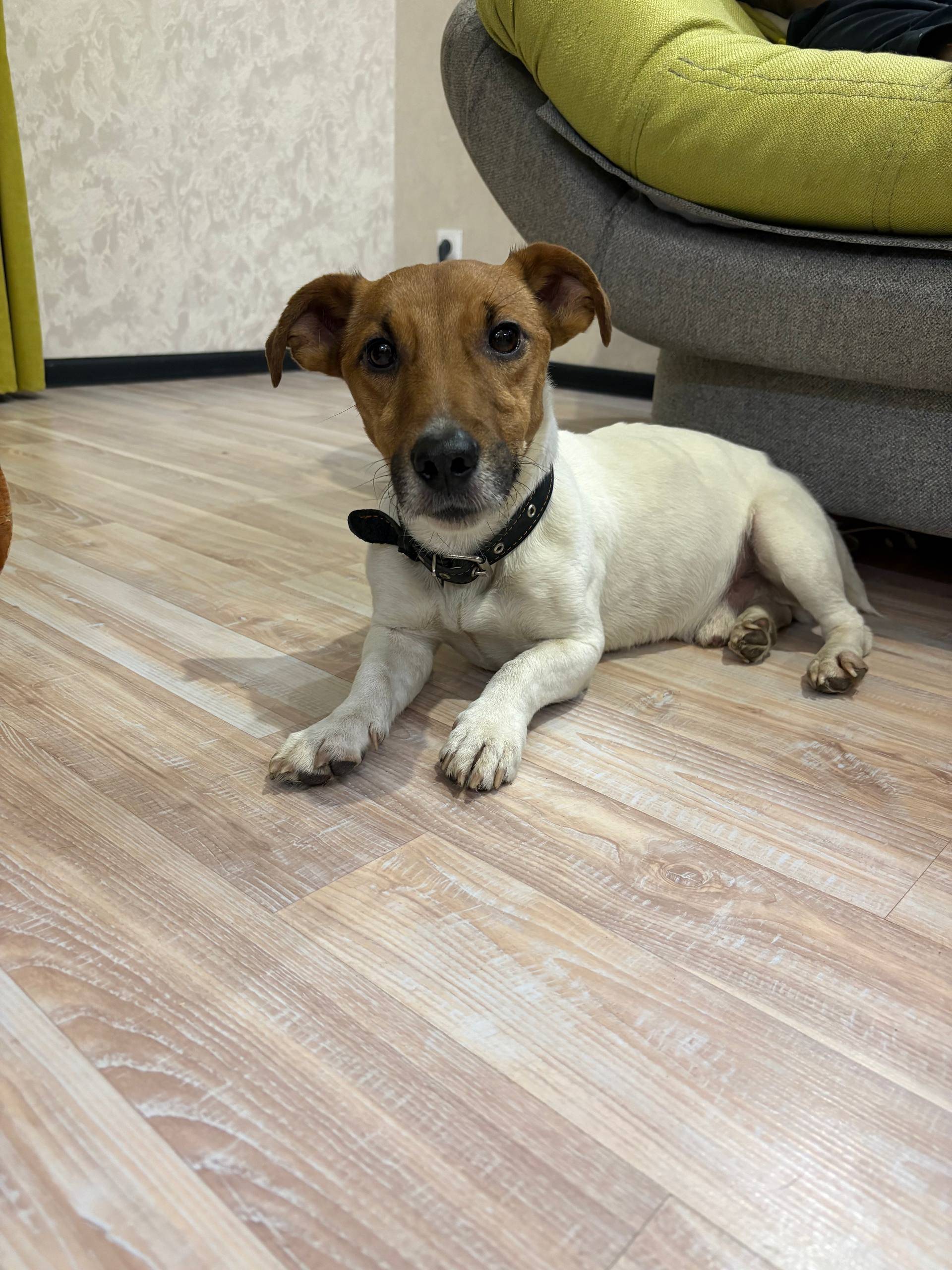 Друзья, нужна помощь!!!🆘 В рай...