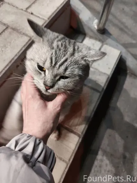 Около Монетки на 35м найден ко...