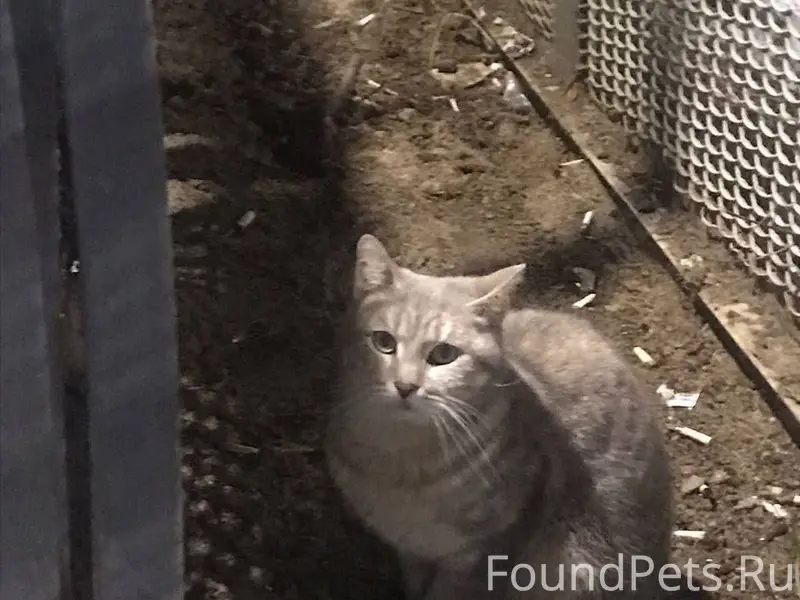 ‼️27 ноября в Раменском у плат...