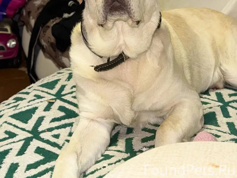 27 километр Железной Дороги Мо...