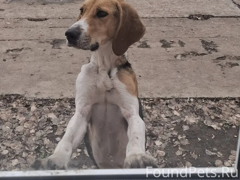 На территории погроменского ра...