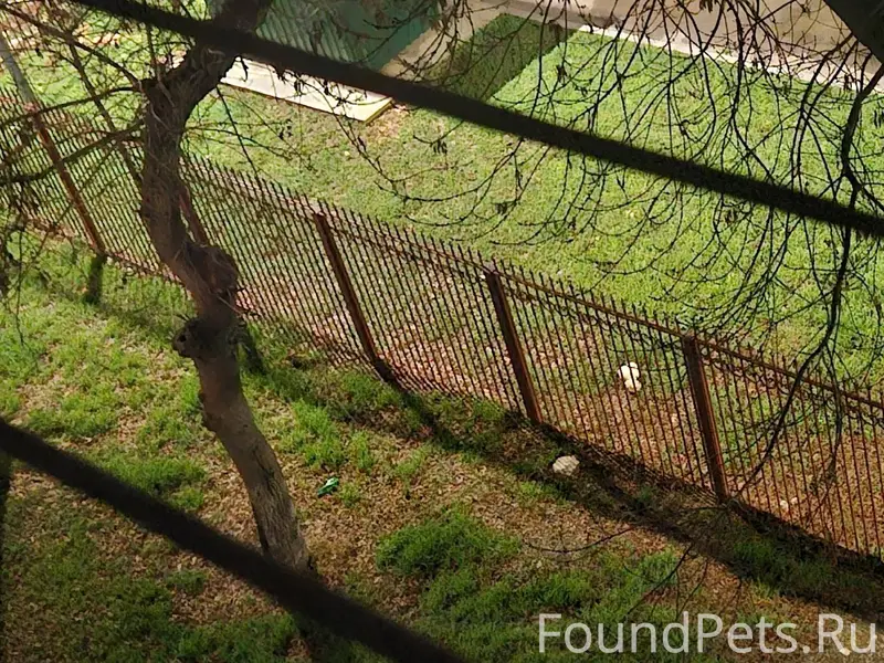 Сегодня в 19.30 две девочки...