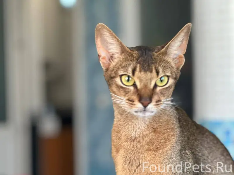 Всем здравствуйте, пропала наш...