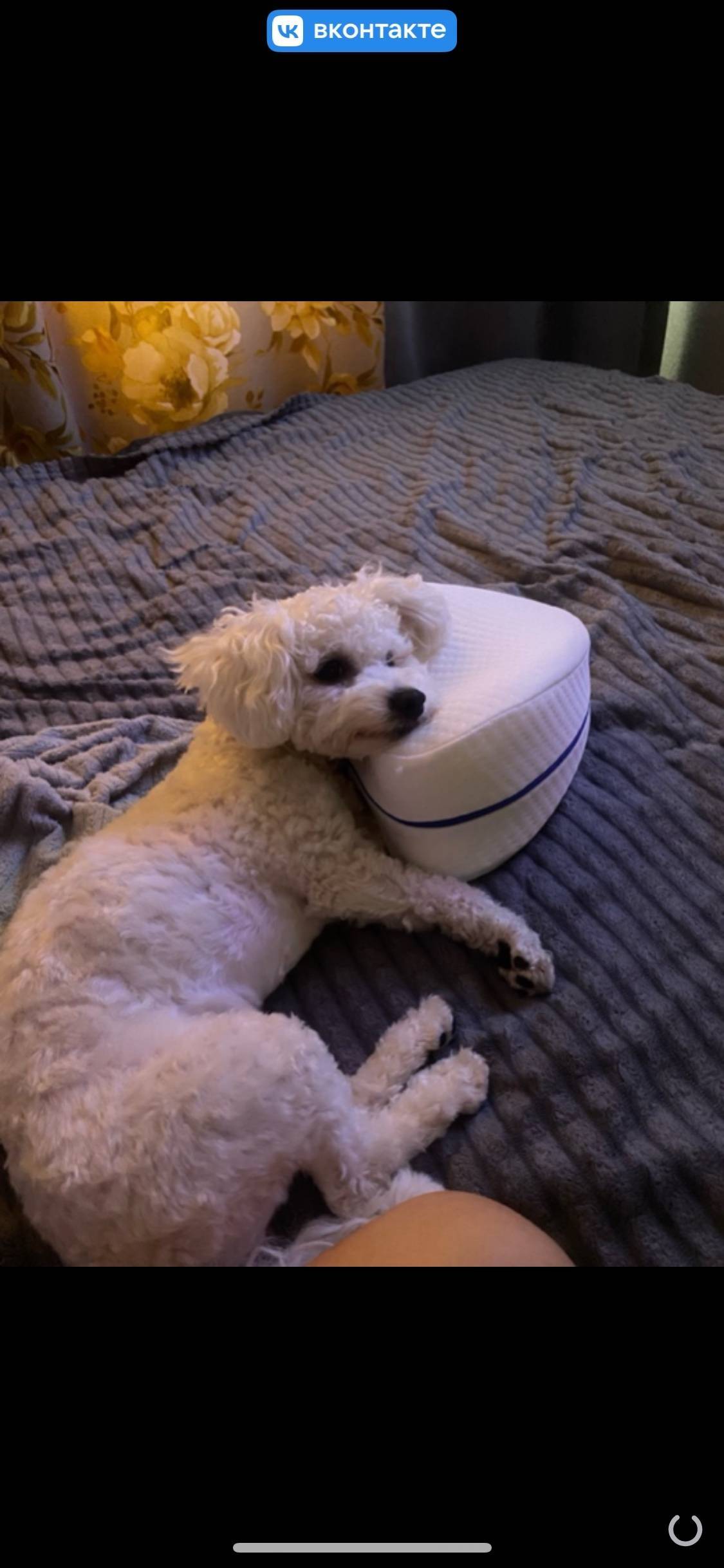 Добрый вечер! Опубликуйте пожа...